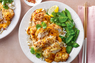 Chicken katsu with extra-veg sauce