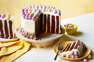 Chocolate mini egg vertical cake