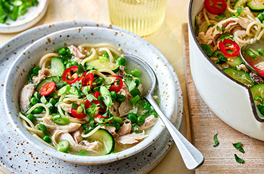 Summer chicken noodle soup