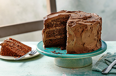 Vegan chocolate fudge cake