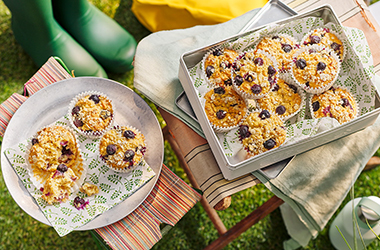 Blueberry bircher muffins