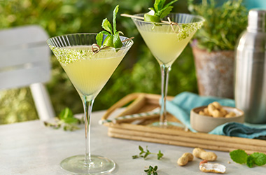 Herb garden margarita