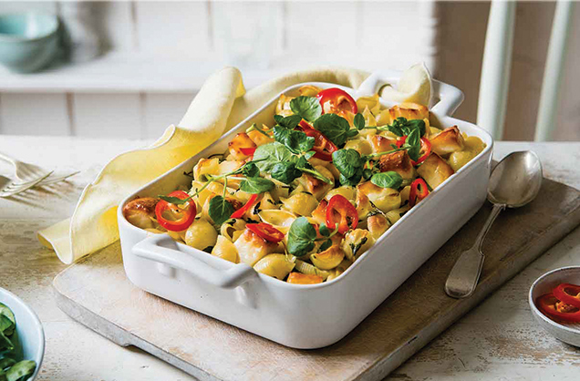 Vegetarian pasta bake with halloumi recipe