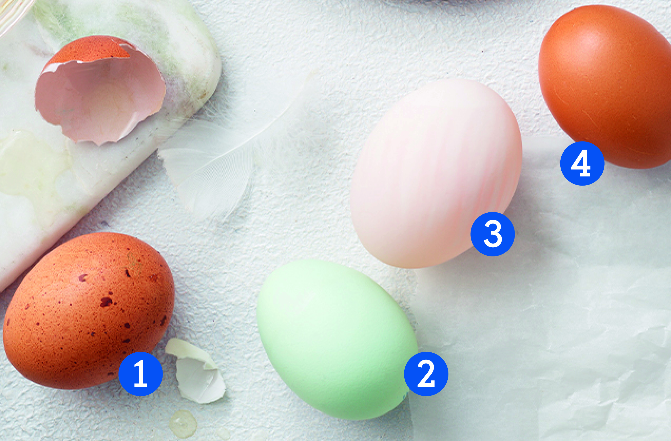 Choose your eggs