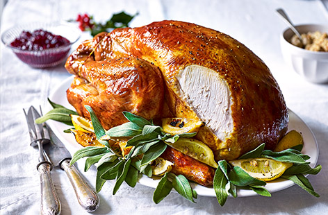 Check your turkey