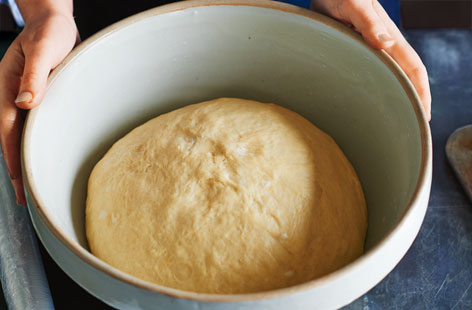 Knead